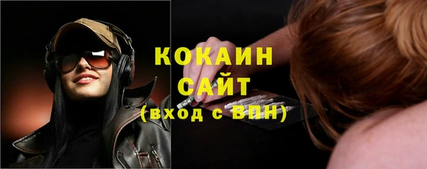прущие грибы Вязники