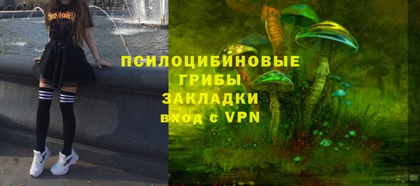 PSILOCYBIN Вязьма