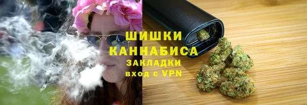 не бодяженный Надым