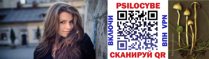 Псилоцибиновые грибы Psilocybine cubensis  ОМГ ОМГ   Приволжск  наркотики 